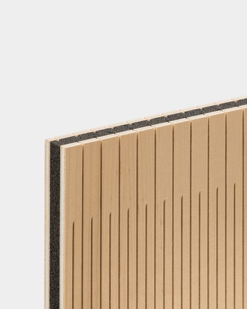 Maple - WAVY Acoustic